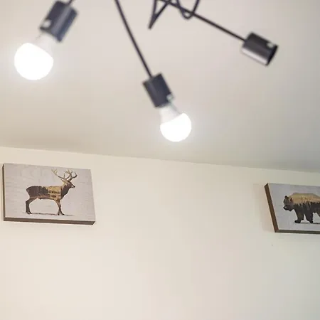 Apartment Sunny #1