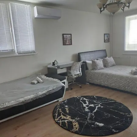 Apartment Sunny #1